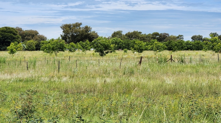 0 Bedroom Property for Sale in Abrahamsrust Free State